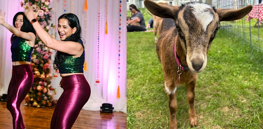 Bollywood Dance with Baby Goats at Happy Goats Farm