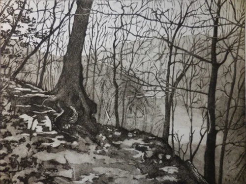 linocut, drypoint, and monoprint with David Brosch - 8 sessions ( April 1,8,15,22,29 and May 6,13,20 ) - on Wednesday
