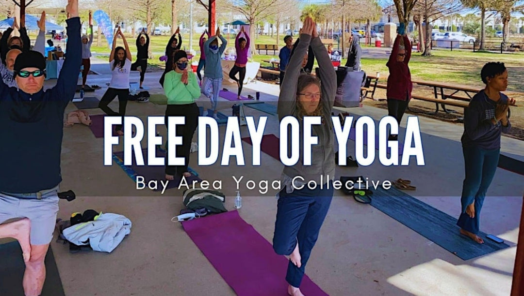 Bay Area Yoga Collective Free Day of Yoga