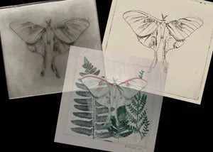 Dry Point Printing 2-Day Workshop with Bridget Murphy - 2 Sessions (Oct 31) - on Saturday