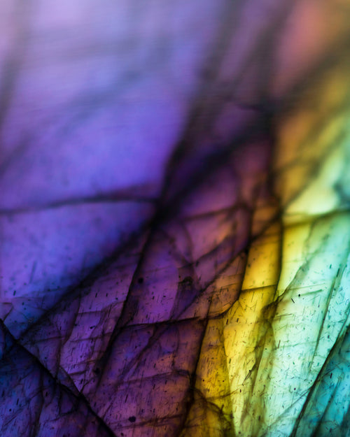 The Art of Transformation: Neurographic Art & Self-Discovery with Uyen Nguyen (Nov 9) - on Monday