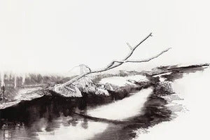 Winter Intro Drawing – Foundation and Landscapes with William Demaria - (4 Sessions) (Jan 6) - on Wednesday